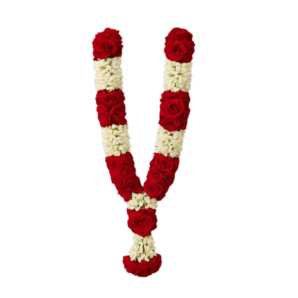 Pulses From Organic Farm